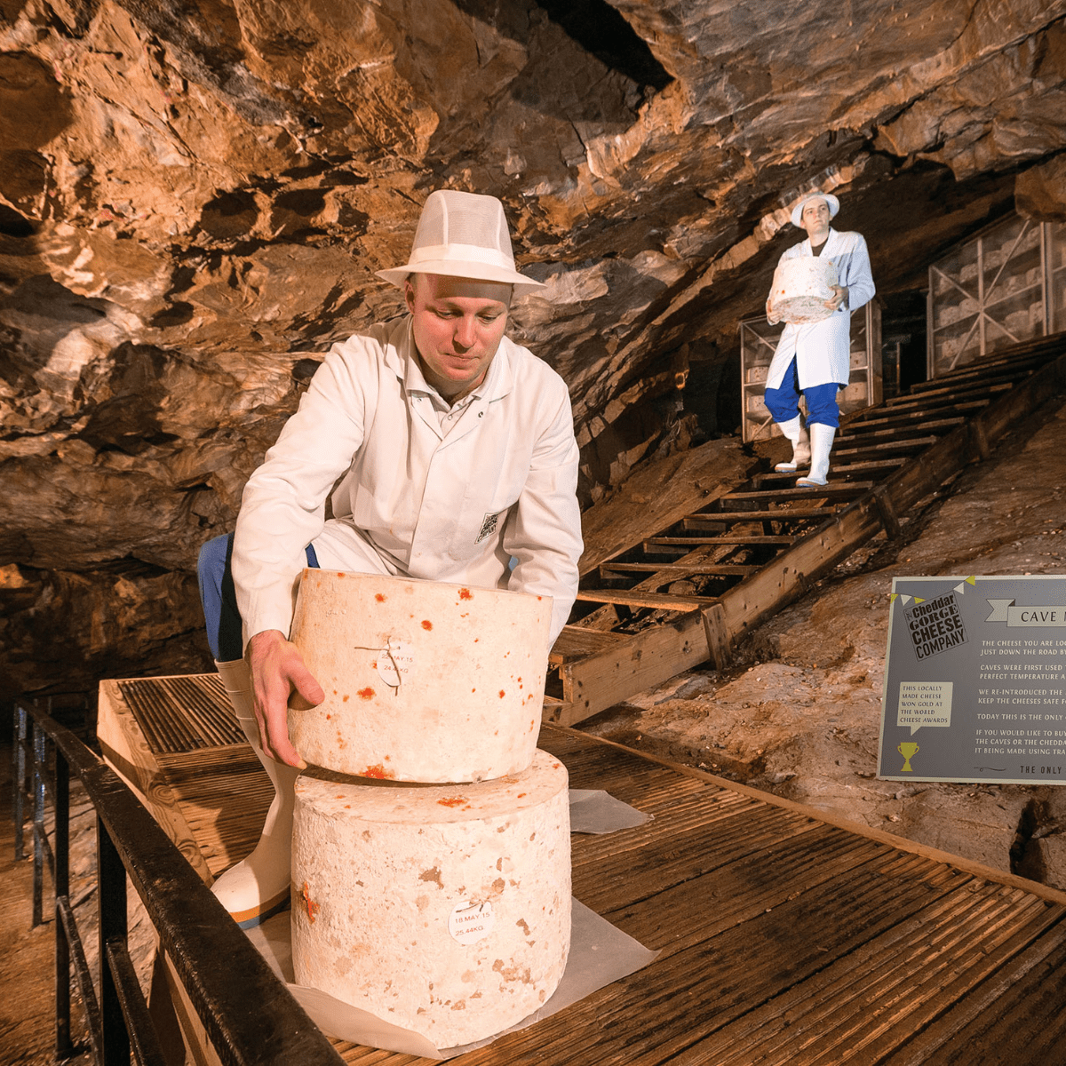 Two cheesemakers collect two wheels of cave-aged cheddar from Gough's cave