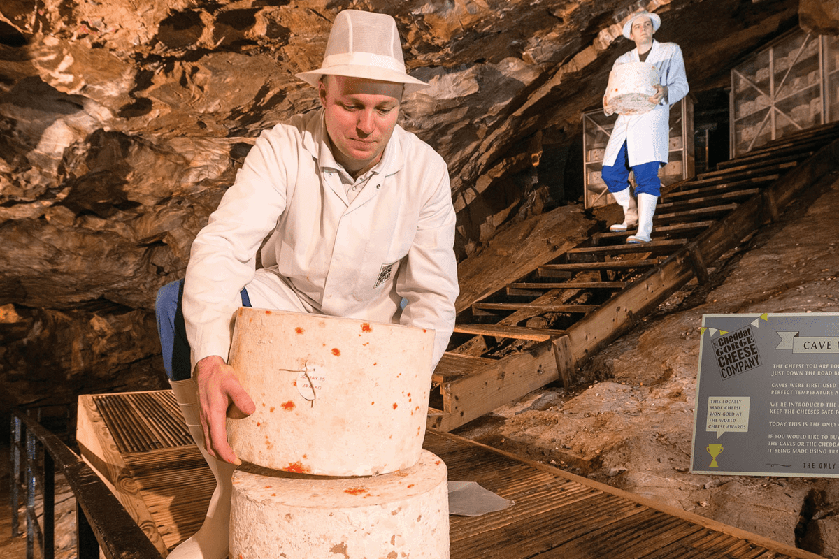 Two cheesemakers collect two wheels of cave-aged cheddar from Gough's cave