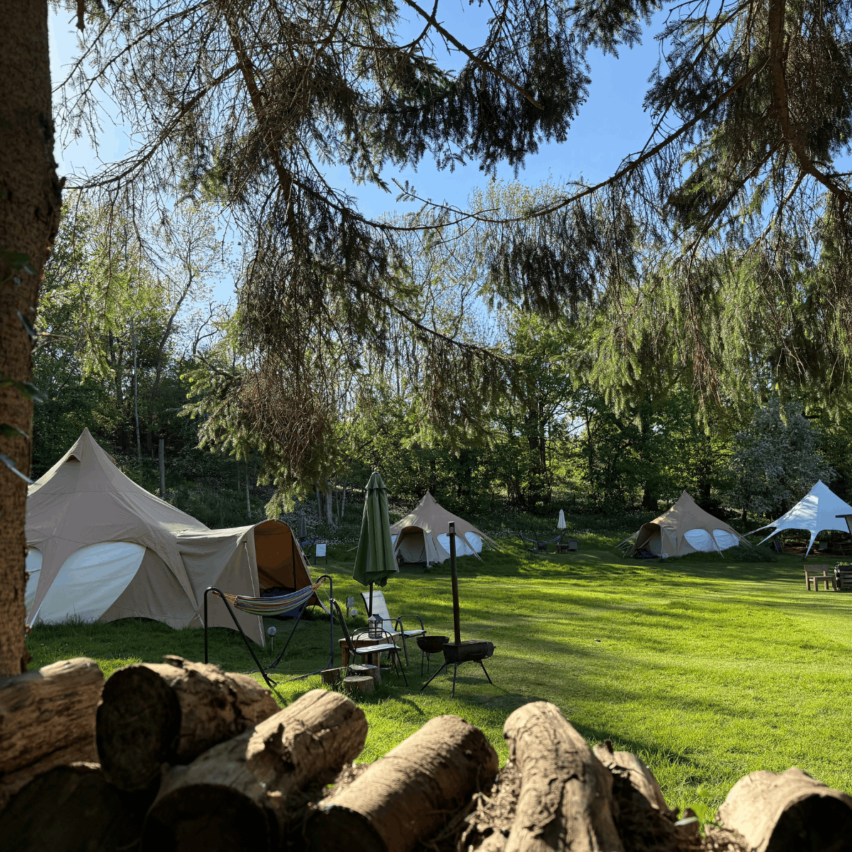 A field with several large tents surrounded by green trees and blue sky