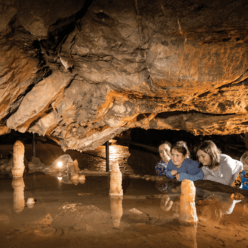 A young family smile as they look over the impressive stalactites in Gough's cave