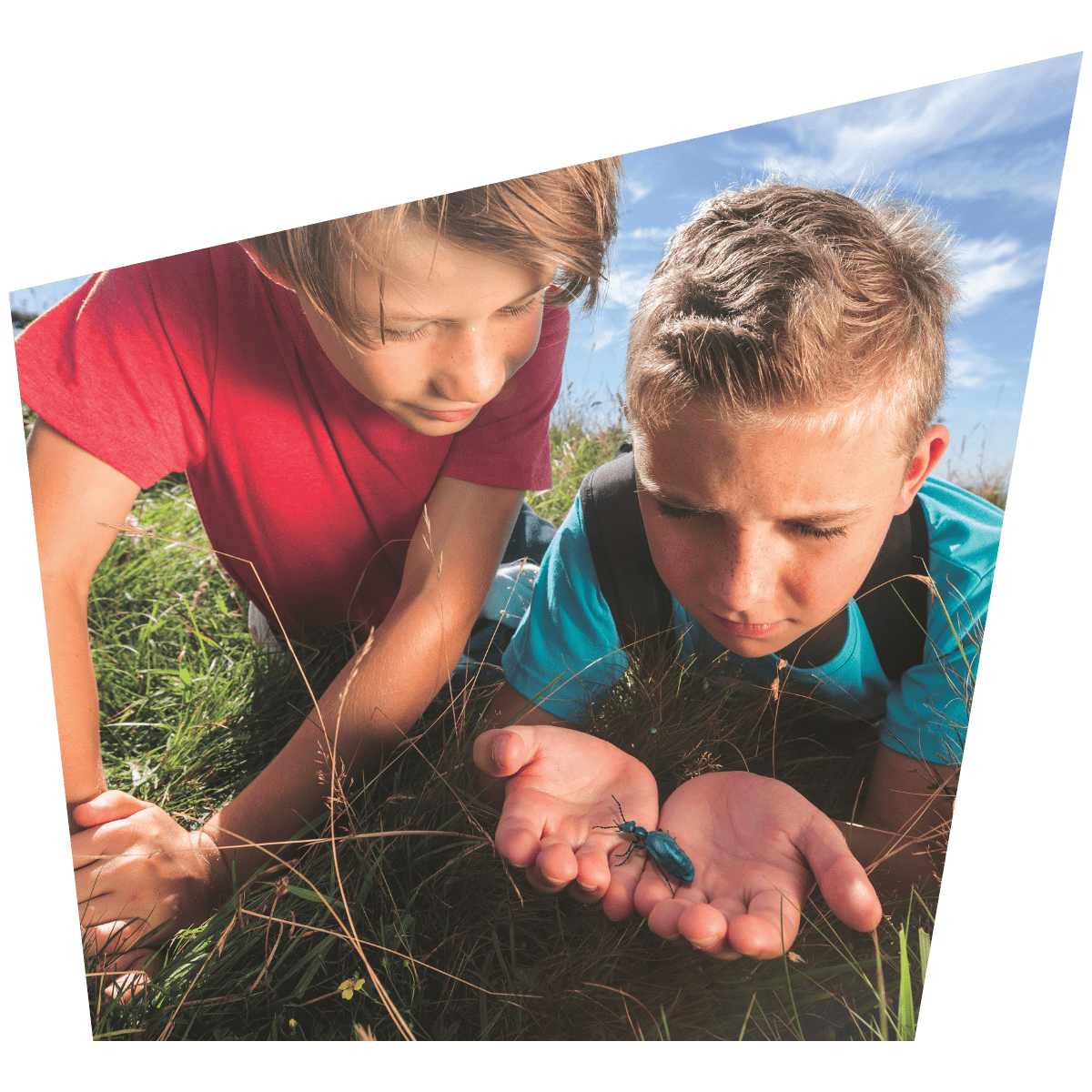 Two young students admire a beetle as it scurries across one of the boy's open palms as they lay in the grass