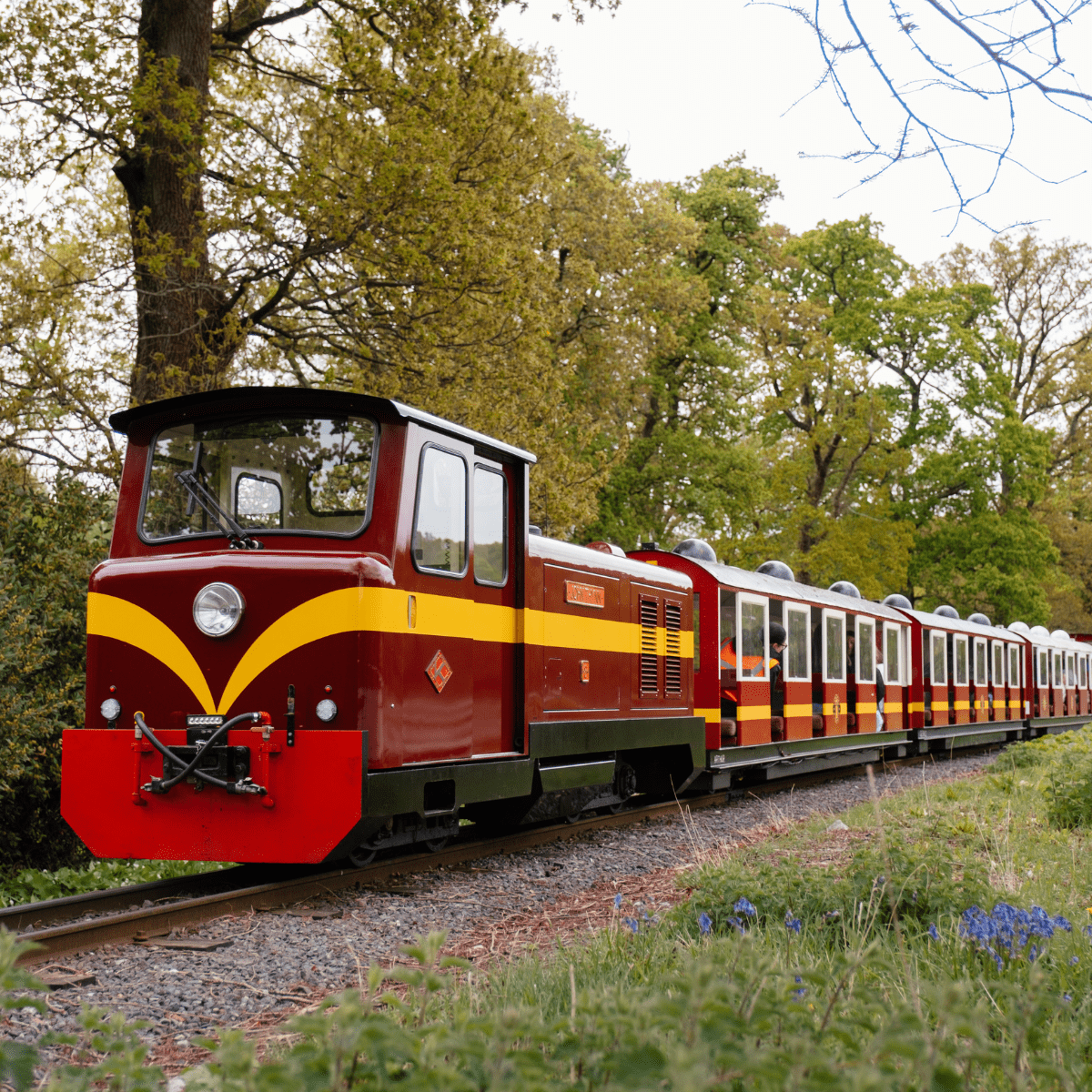 A red and yellow train on a miniature railway at Longleat