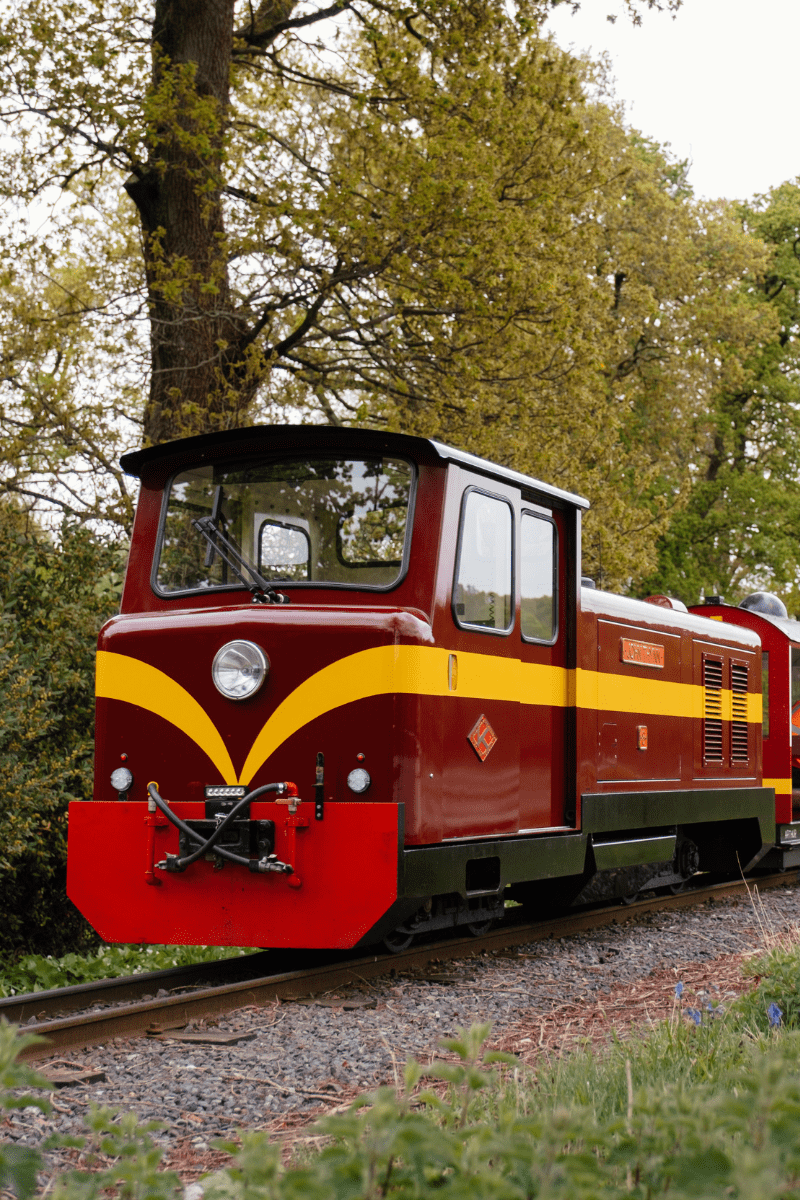 A red and yellow train on a miniature railway at Longleat