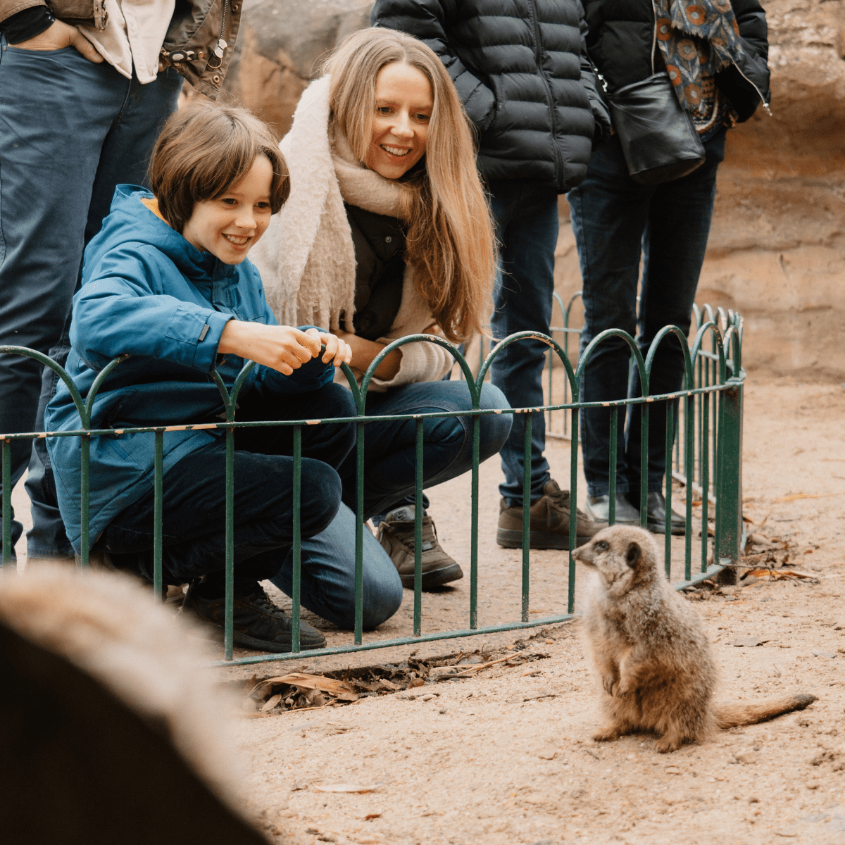 Two VIP guests smile as they crouch down to look at a meerkat close to them