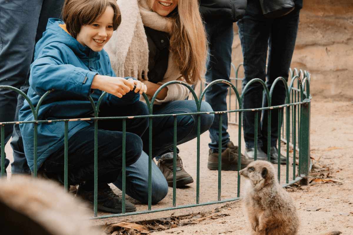 Two VIP guests smile as they crouch down to look at a meerkat close to them