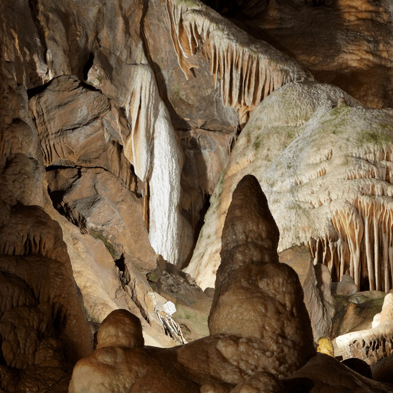 A look at the impressive stalactites and stalagmites in Gough's Cave