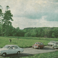 1968 Guide Book cars, wtih lions behind (photographer uncredited)