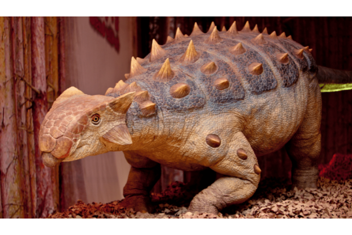 Large, brown animatronic dinosoar (Ankylosaurus) with spines on back and legs. 