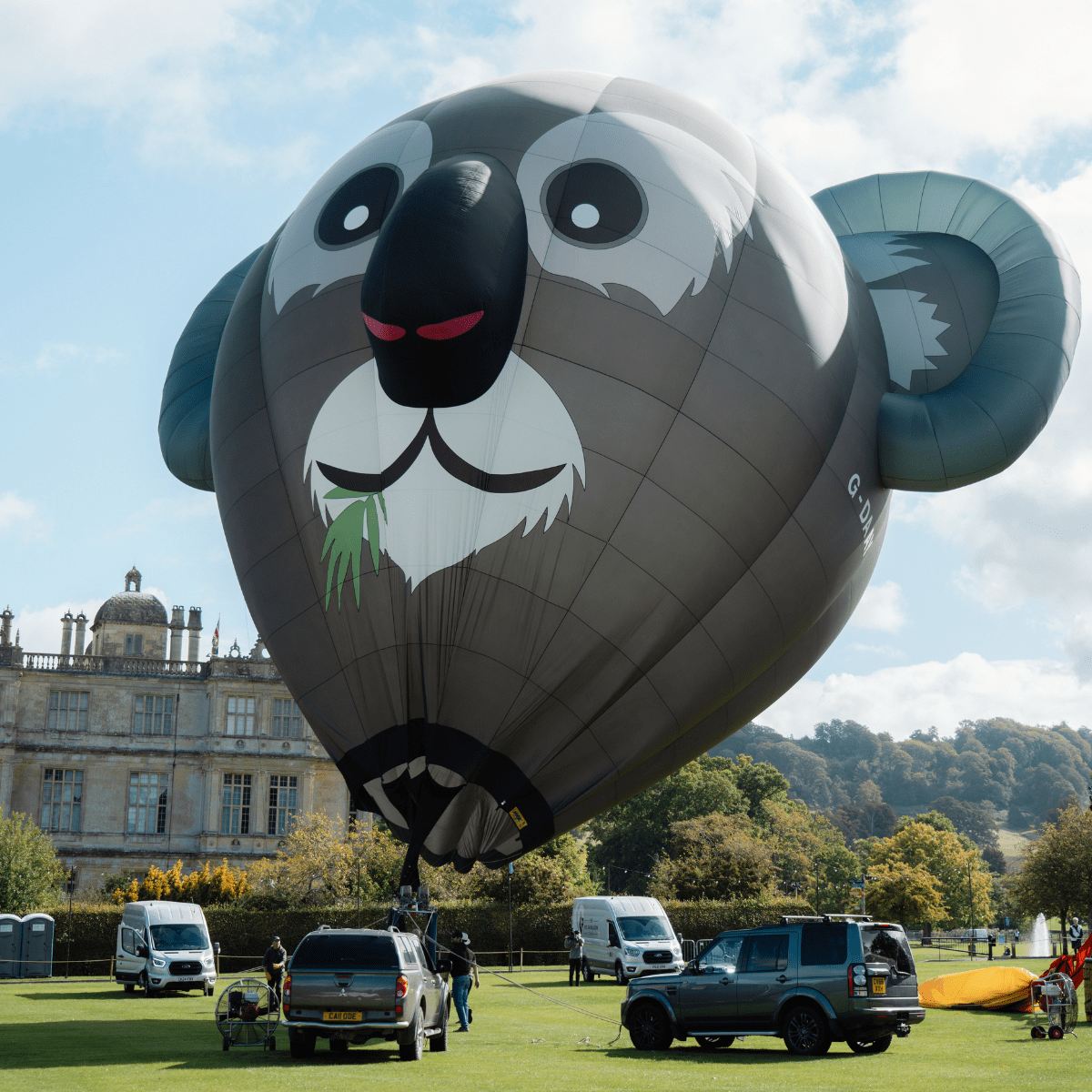 Adelaide the Koala tethered by Longleat House