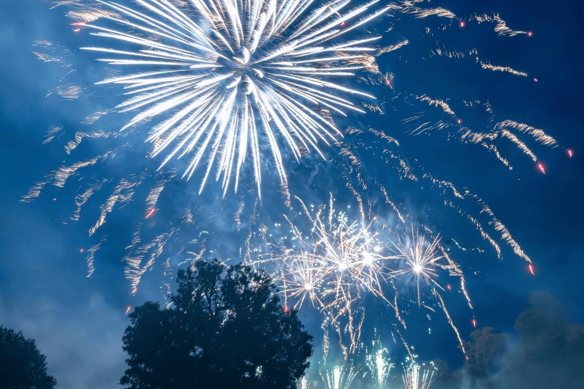 fireworks over trees
