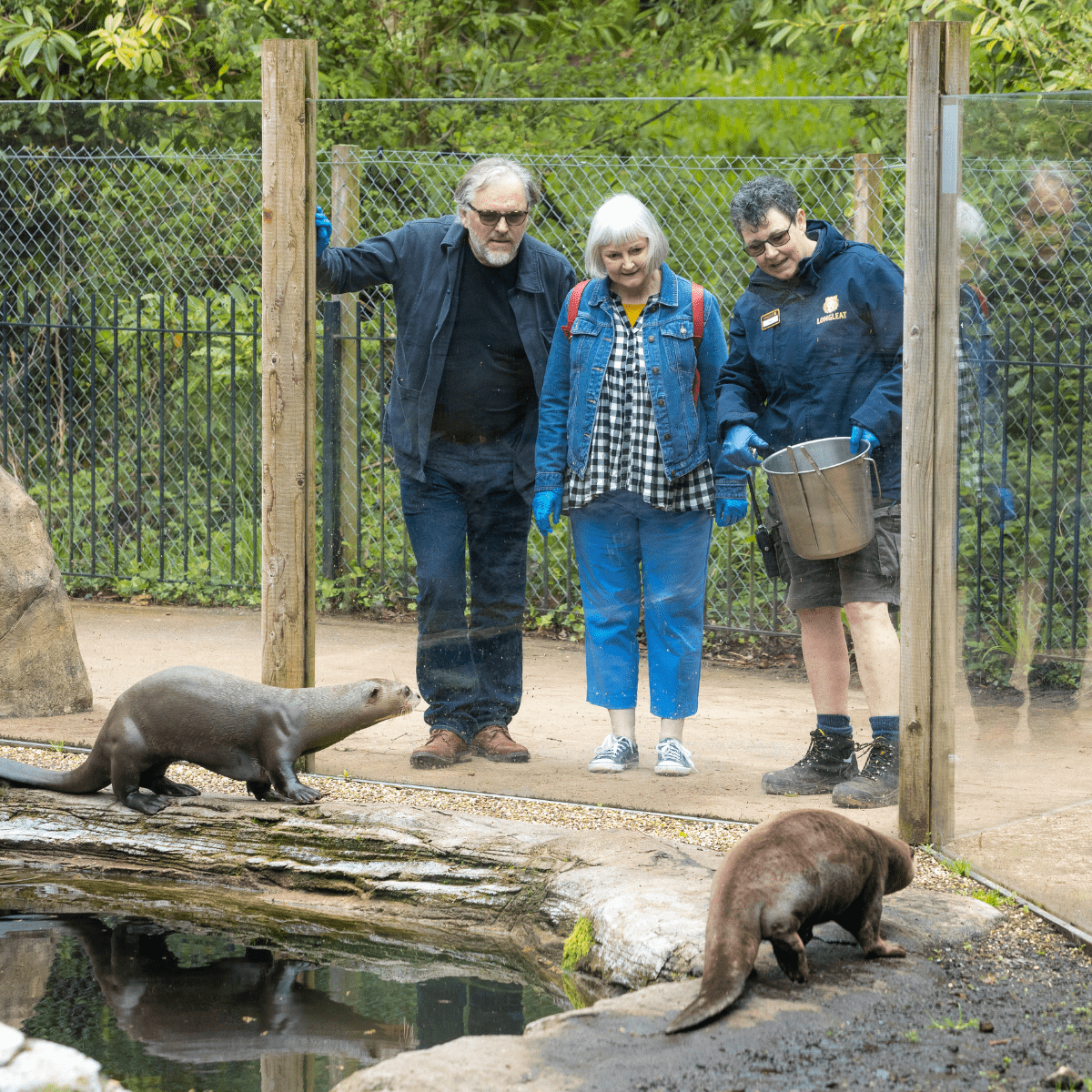 A Longleat keeper chats to VIP guests as they feed the giant otters.