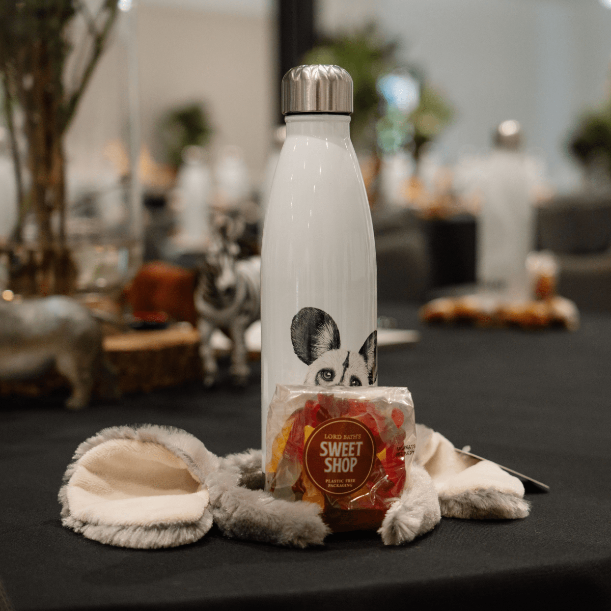 A white metal water bottle featuring a picture of an african painted dog, alongside a fluffy ear headband and a packet of sweets.