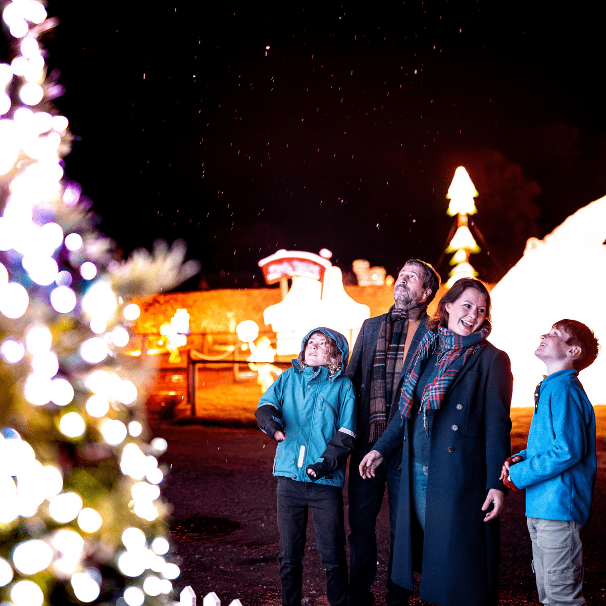 A family of four, a mother, father and two children stand looking at a lit up Christmas tree, smiling, with other Christmas lights in the background