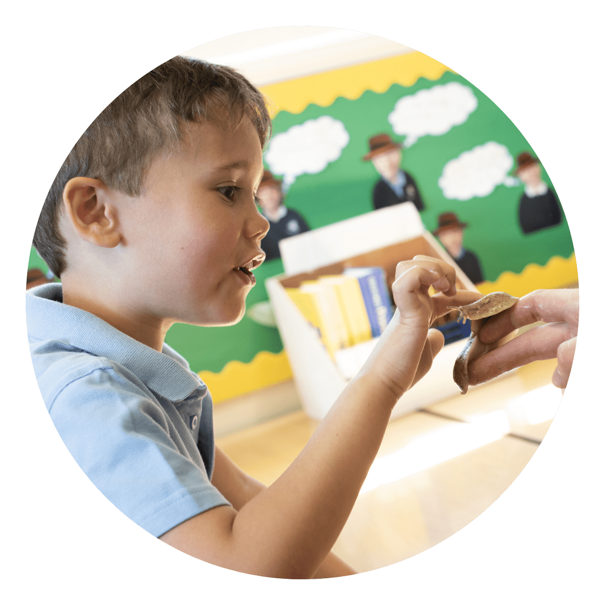 A giant slug is held by a keeper in a classroom as a schoolchild touches it