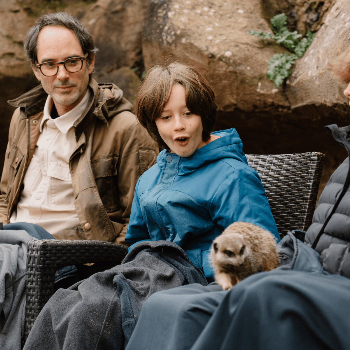 A young VIP guest looks on in great excitement as a meerkat scurries across his lap