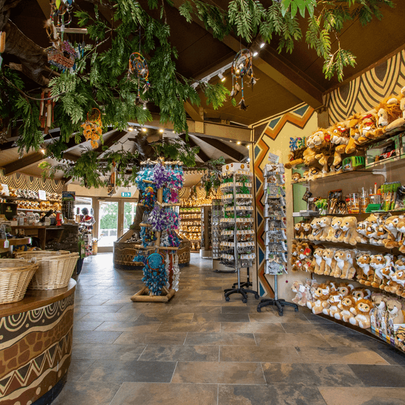 Interior of African Traders showing colourful shelves of items and safari theming