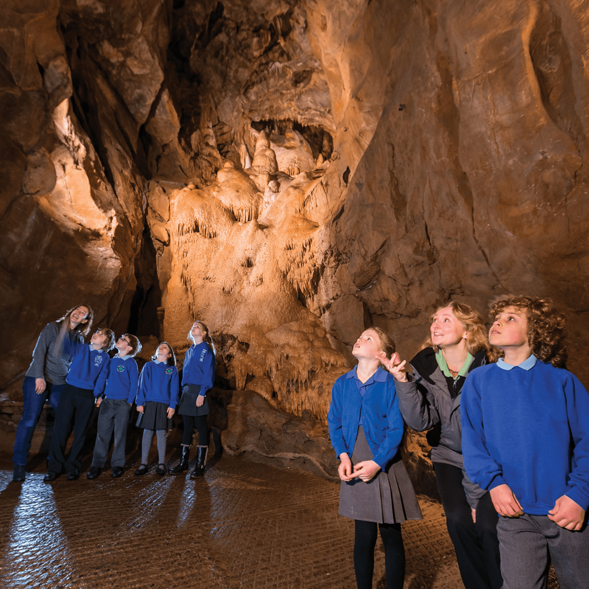 A group of students and education leaders admire the rock formations inside Gough's cave