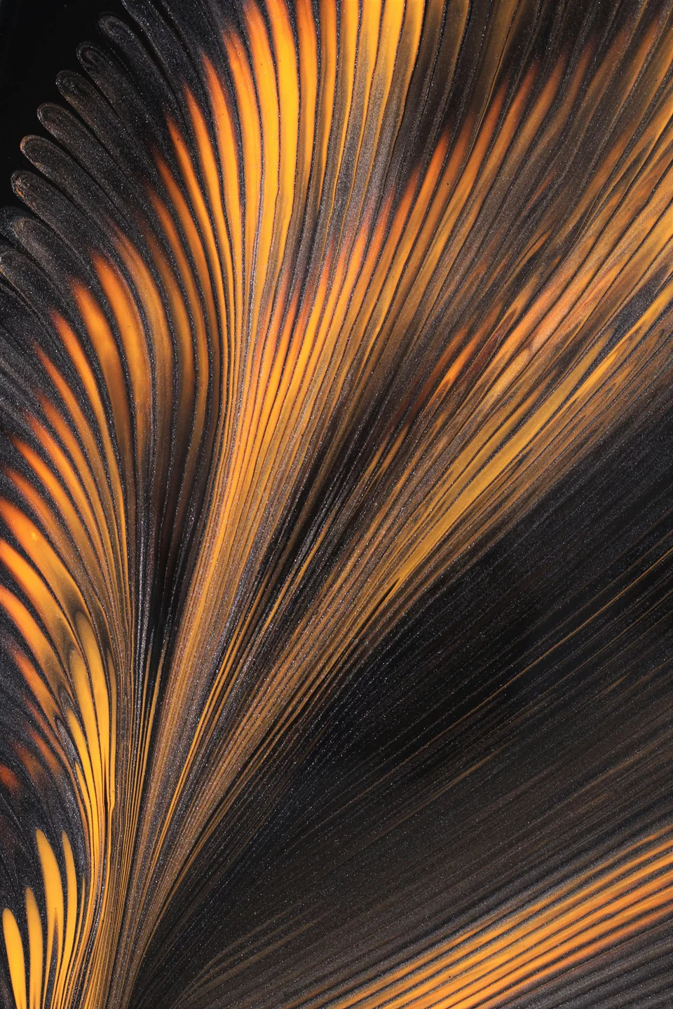 Q&A: Patent search and analysis: key strategies for enhancing the value of technology transfer