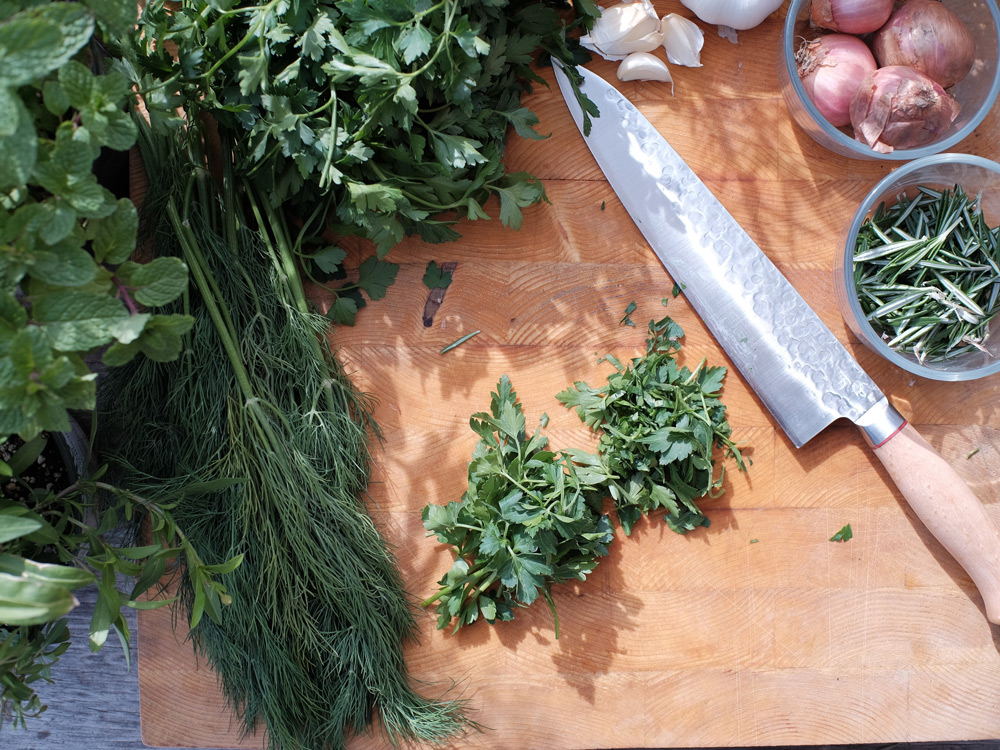 Best herbs to grow in the fall