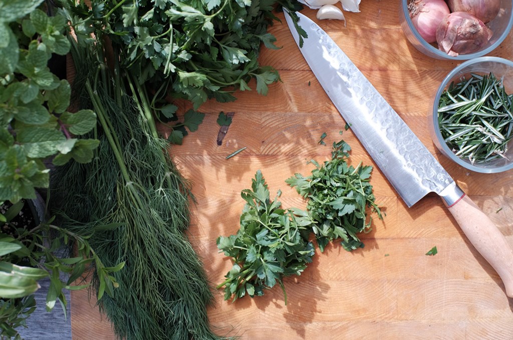 Best herbs to grow in the fall