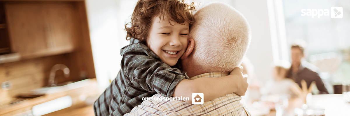 Omsorgsportalen mot nationell standard