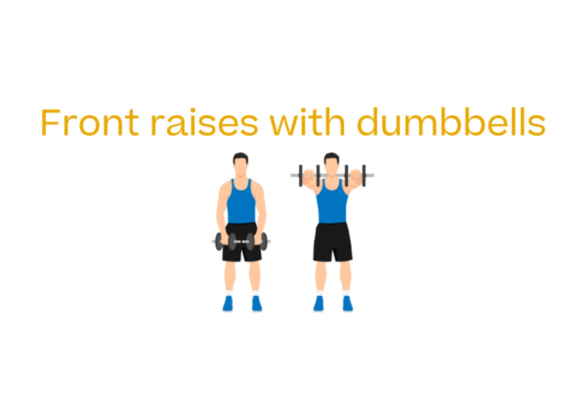 Step by step how to do front raised with dumbbells Step by step how to do front raised with dumbbells
