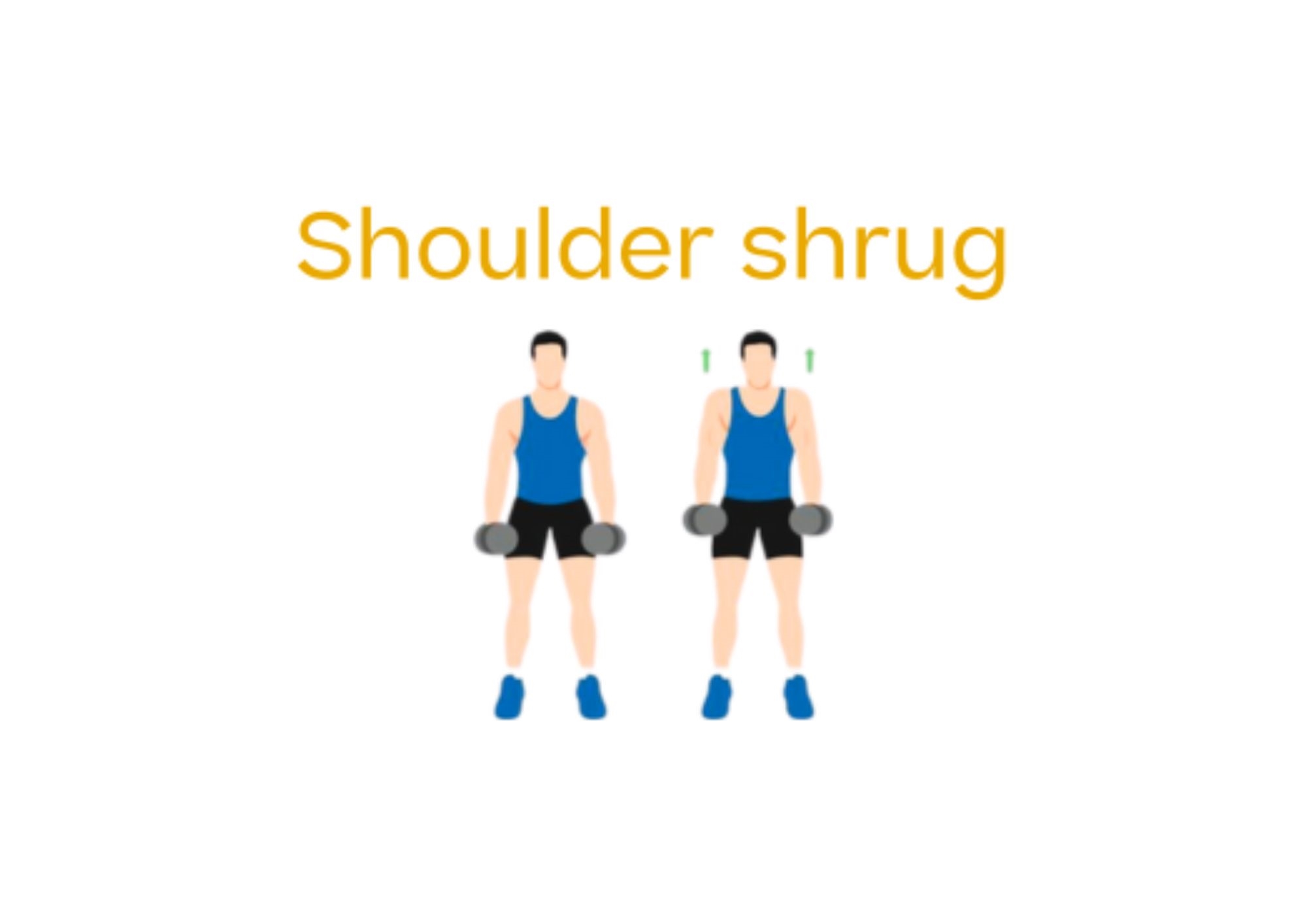 How to do shoulder shrugs step by step How to do shoulder shrugs step by step