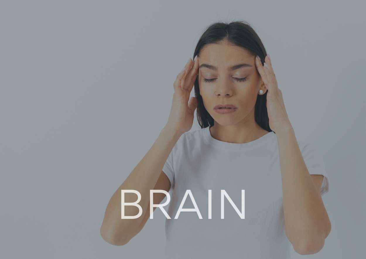 Pall Mall Fallback Image