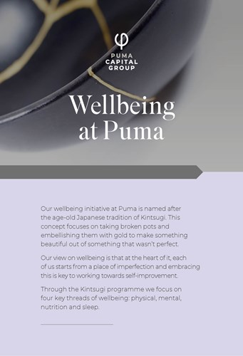 Puma Wellness Brochure