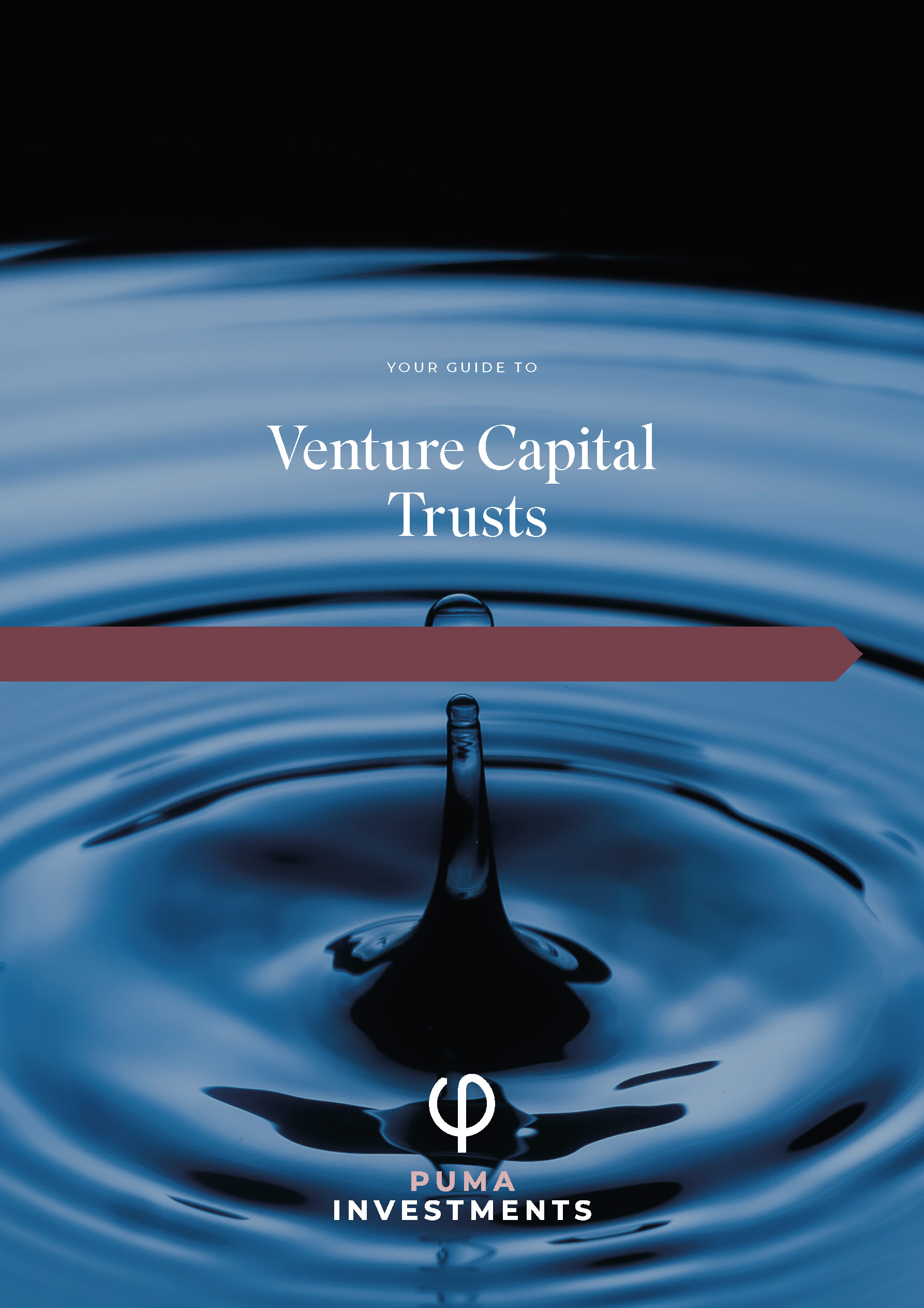 Venture Capital Trusts