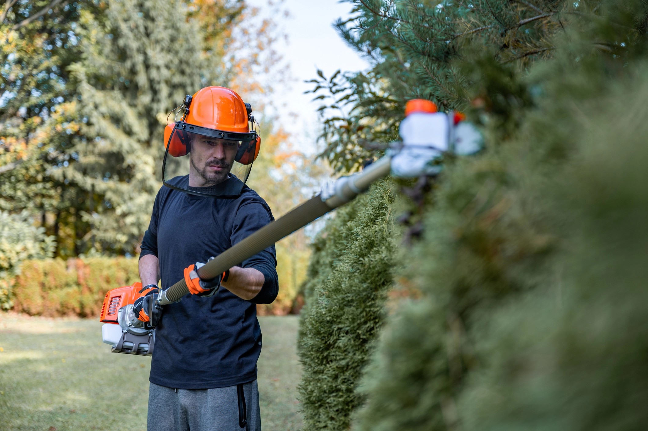 Trimming Hedges