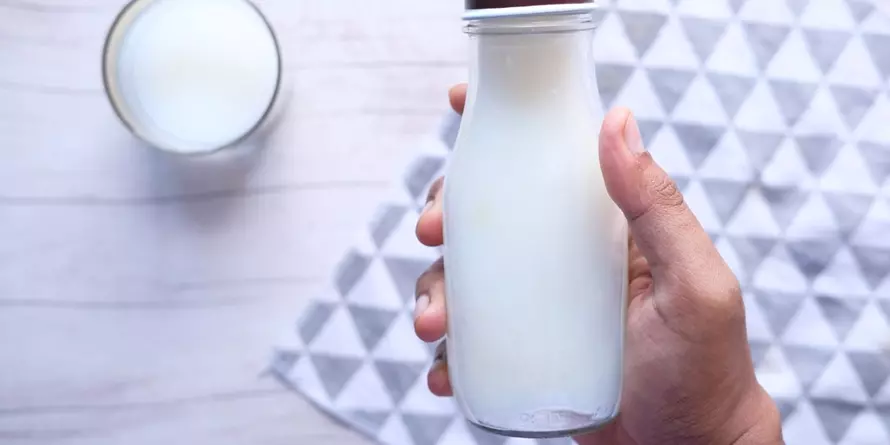 Mleko Bez Laktozy Jako Alternatywa Do Tradycyjnego Nabiału Mleko Bez Laktozy Jako Alternatywa Do Tradycyjnego Nabiału