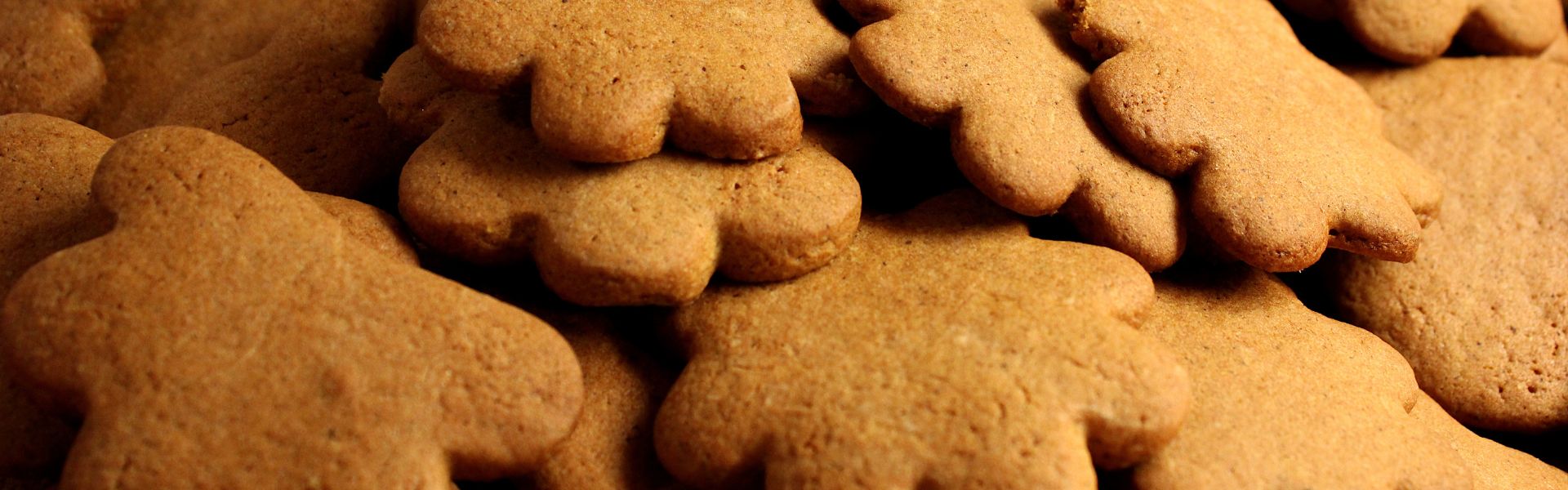 Piernik Staropolski D