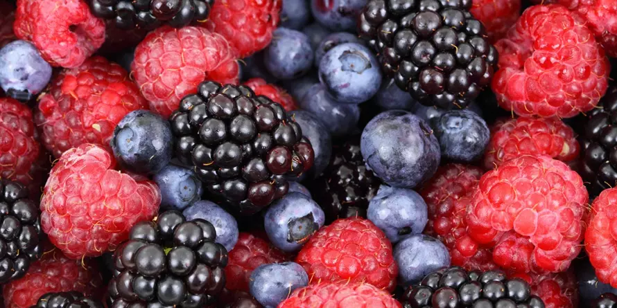 Co Zrobić Z Nadmiarem Owoców Co Zrobić Z Nadmiarem Owoców