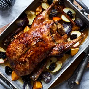 1750 Gs Web2400x1600