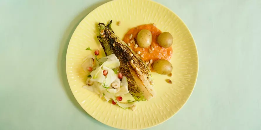 Kosmos Gul Kosmos Gul