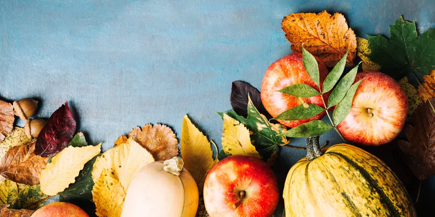 Rozmieszczone Dynie I Jablka Rozmieszczone Dynie I Jablka