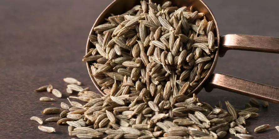 Czarnuszka Czarnuszka