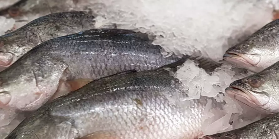 Ryby Na Święta D Ryby Na Święta D