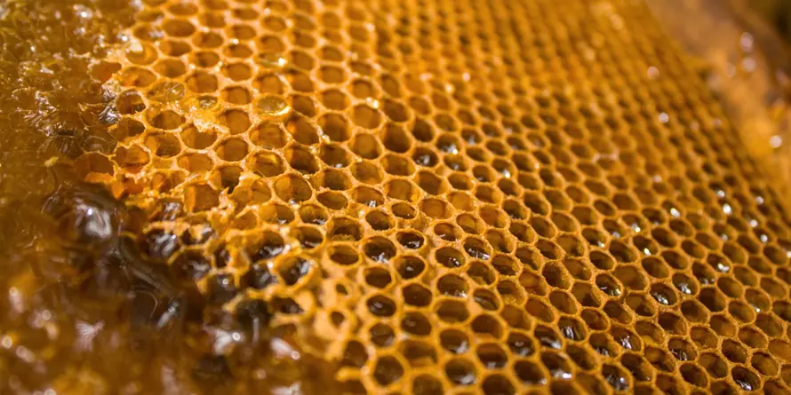 Miód Ekologiczny Huzar Miód Ekologiczny Huzar