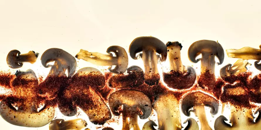 Sos Grzybowy D Sos Grzybowy D