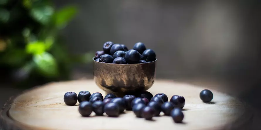 Aronia Uprawa Przycinanie Kiedy Dojrzewa Zrywanie Aronia Uprawa Przycinanie Kiedy Dojrzewa Zrywanie