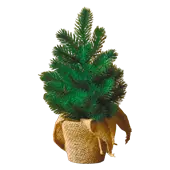 Deko-Tannenbaum im Jutebeutel