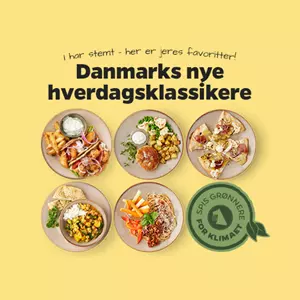 DNH Netto Newsfeed NY (U25 26) 1000X500 (Skal Bruges Som Thumpnail På Forsiden)