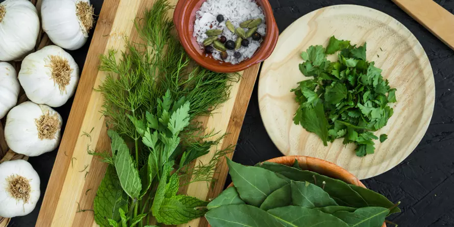 Wiosenne Ziola Wiosenne Ziola