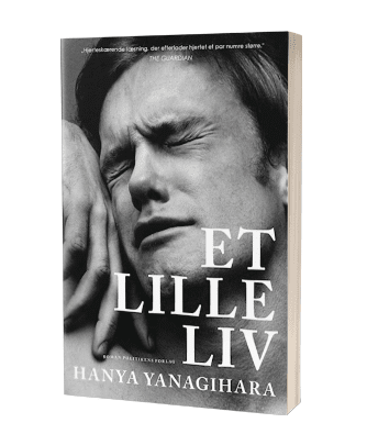 Bogen 'Et lille liv'