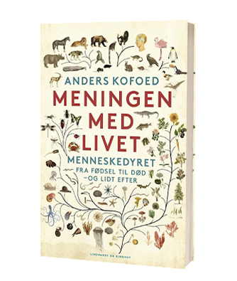 'Meningen med livet' af Anders Kofoed