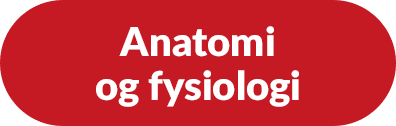 Find bogen 'Anatomi og fysiologi' hos Saxo