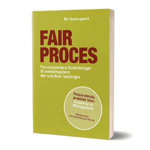 'Fair process' af Bo Vestergaard
