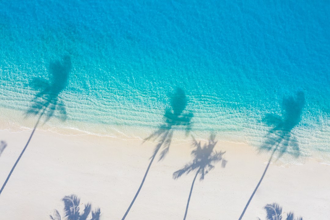 Tropical tree shadows on white sand with turquoise blue sea